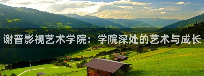 八戒在线影院免费：谢晋影视艺术学院：学院深处的艺术与成长