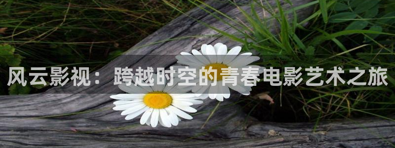 八戒八戒神马影院在线4：风云影视：跨越时空的青春电影艺术之旅