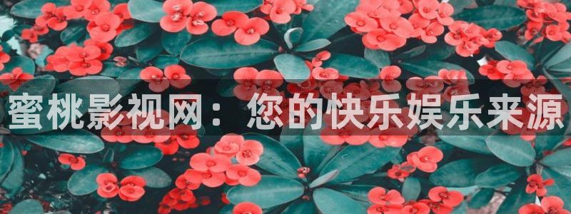 八戒禁止影院：蜜桃影视网：您的快乐娱乐来源