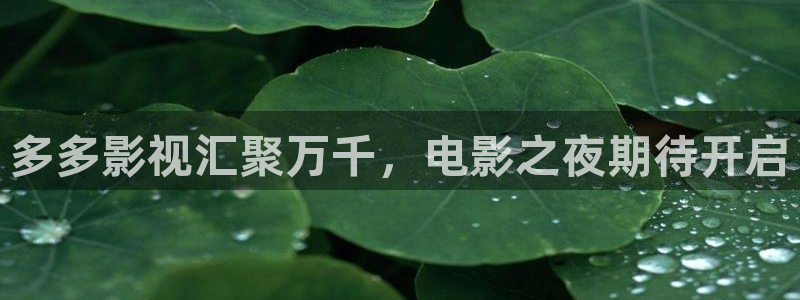 飘零影院八戒电影网：多多影视汇聚万千，电影之夜期待开启