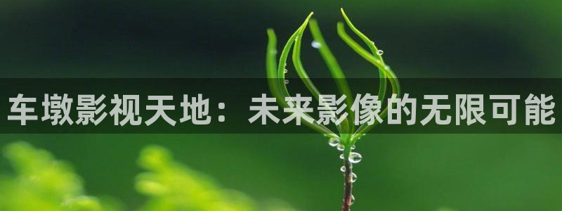 八戒影院 在线观看：车墩影视天地：未来影像的无限可能
