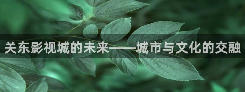 八戒八戒免费影院：关东影视城的未来——城市与文化的交融