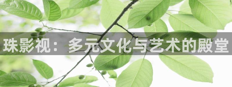 八戒影视在线播放：珠影视：多元文化与艺术的殿堂