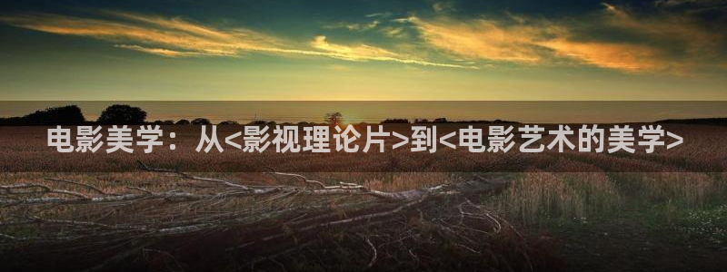 八戒影院的：电影美学：从<影视理论片>到<电影艺术的美学>